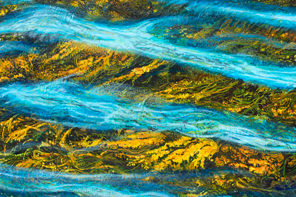 Kelp