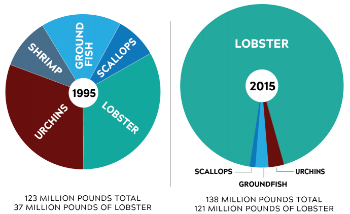 Economic impact of fisheries and aquaculture