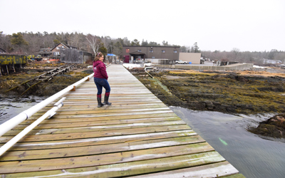 On the dock