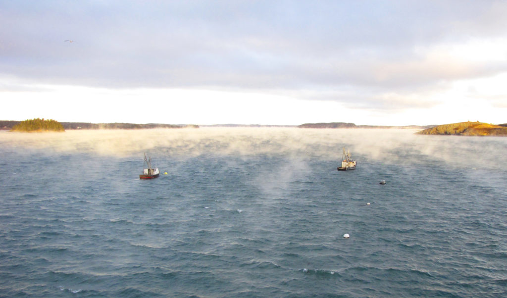 Fishing boats at anchor in Lubec in January 2018.