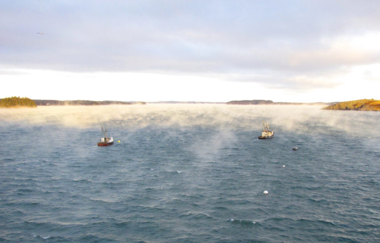 Fishing boats at anchor in Lubec in January 2018.