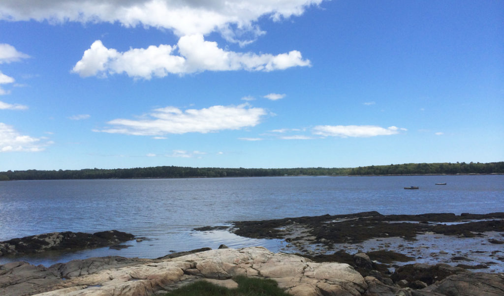 The upper tidal reaches of the Medomak River have been cleaned.