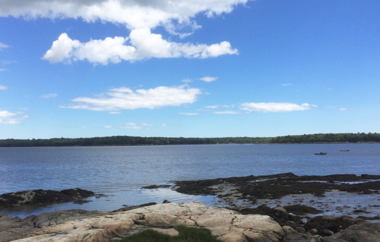 The upper tidal reaches of the Medomak River have been cleaned.