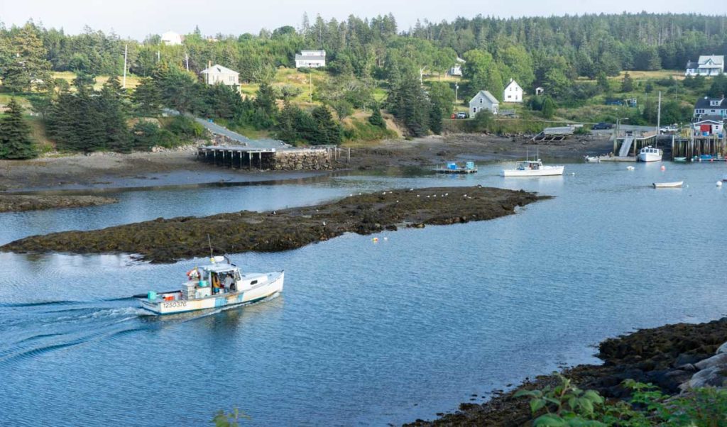 The view over Lunt Harbor on Frenchboro.