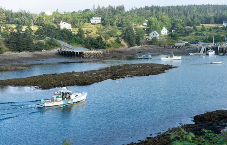 The view over Lunt Harbor on Frenchboro.