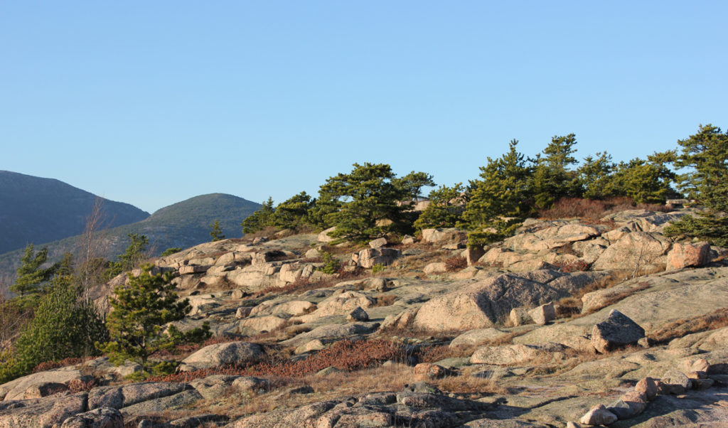 Gorham Mountain in Acadia National Park.