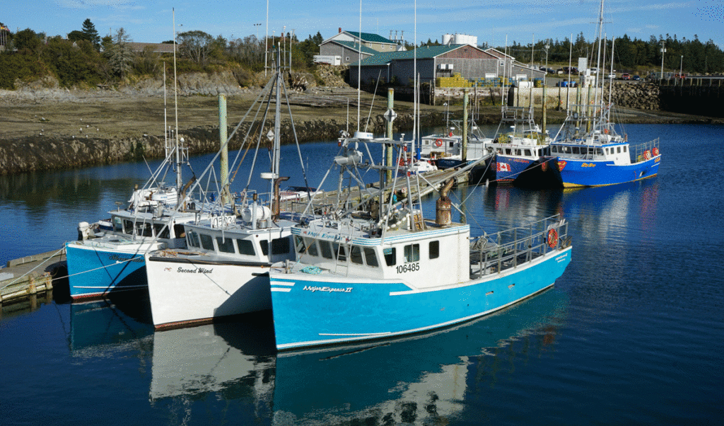 Boats in a protected anchorage on Grand Manan