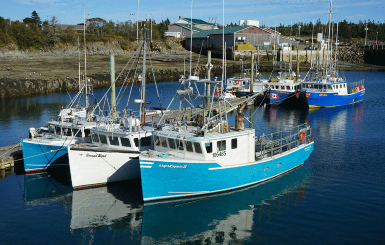 Boats in a protected anchorage on Grand Manan