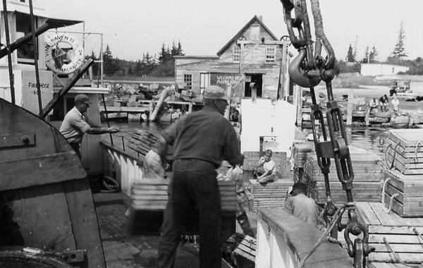 A horse-drawn wagon is visible in this image, showing the Governor Bodwell arriving in Vinalhaven. PHOTO: COURTESY HISTORY PRESS/VINALHAVEN ISLAND’S MARITIME INDUSTRIES