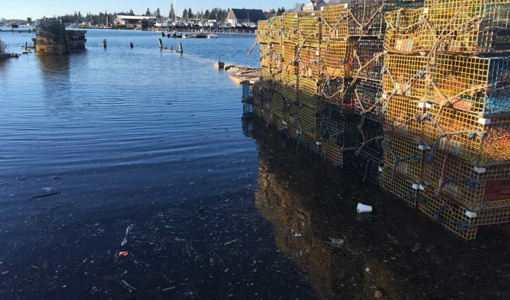 During a recent high tide in Vinalhaven