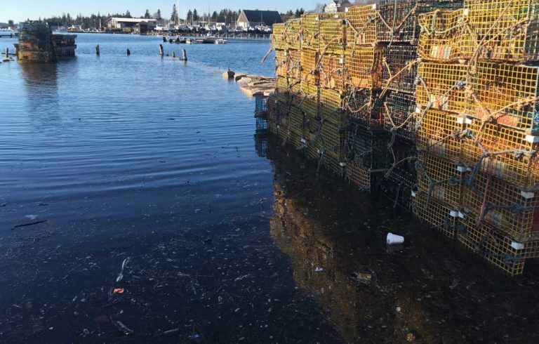 During a recent high tide in Vinalhaven