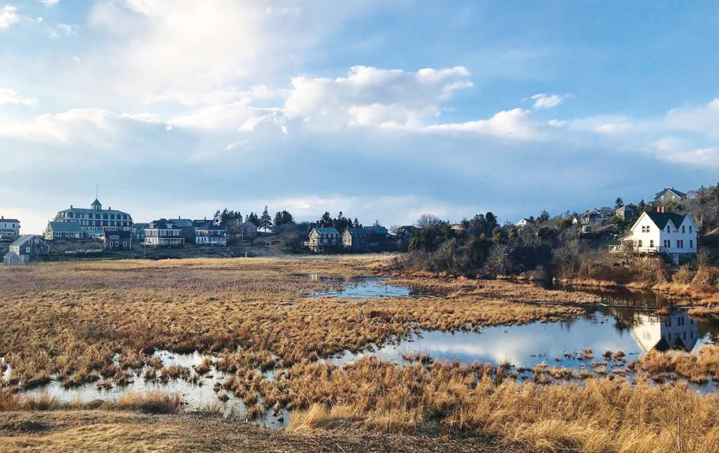 Monhegan Island’s marshy freshwater meadow is part of the aquifer.