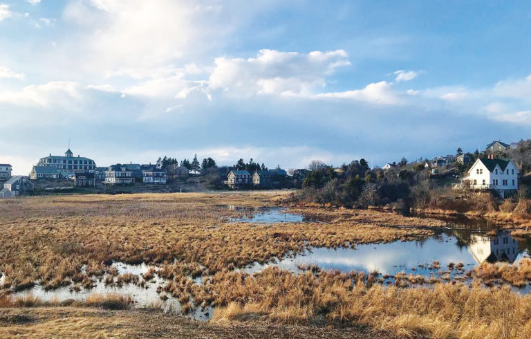 Monhegan Island’s marshy freshwater meadow is part of the aquifer.