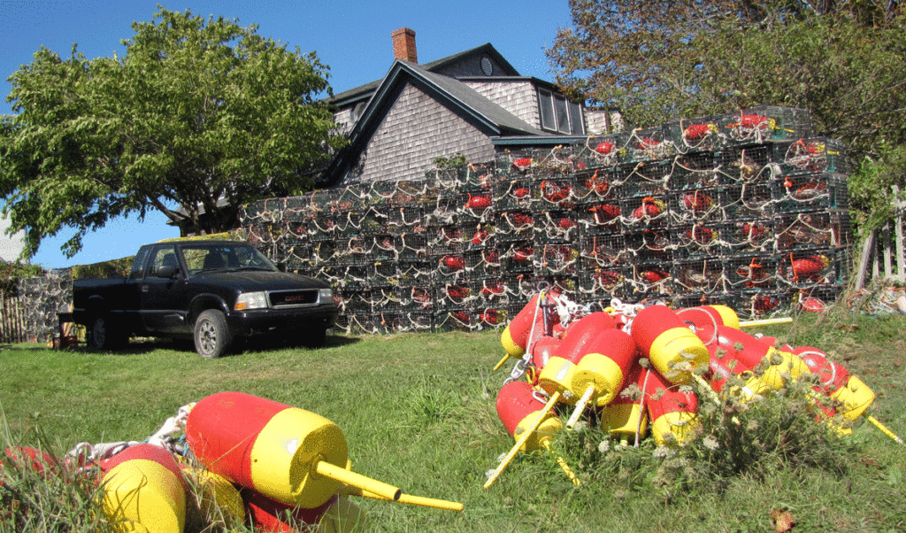 Buoys and traps on Monhegan.