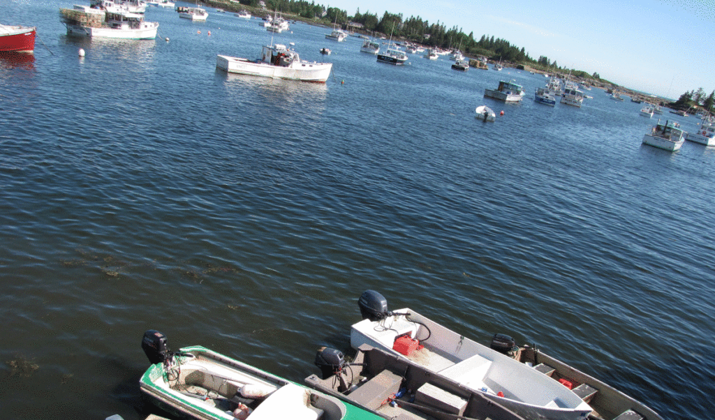 Vinalhaven's harbor.