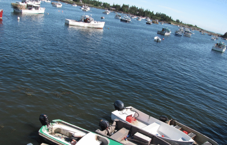 Vinalhaven's harbor.