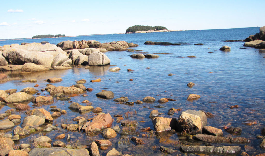 A view of the shore near Schoodic Point.