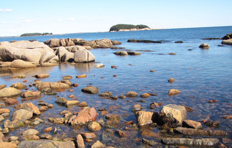 A view of the shore near Schoodic Point.