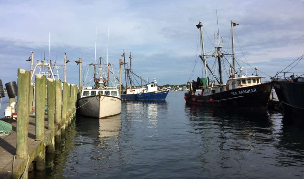 The Port of Galilee in Rhode Island is home to a thriving squid fishery