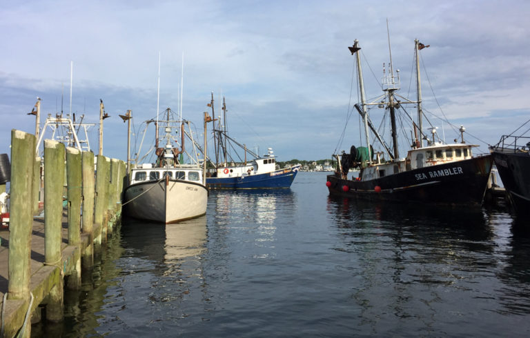 The Port of Galilee in Rhode Island is home to a thriving squid fishery