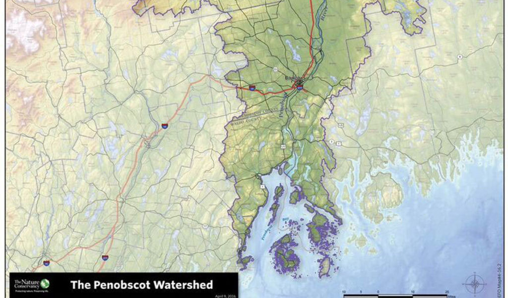The southern half of the Penobscot watershed.