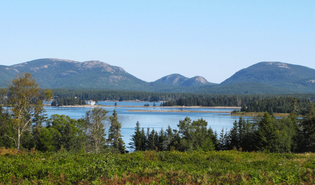 A view of Mount Desert Island from Great Cranberry Island