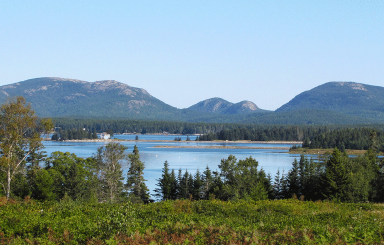 A view of Mount Desert Island from Great Cranberry Island