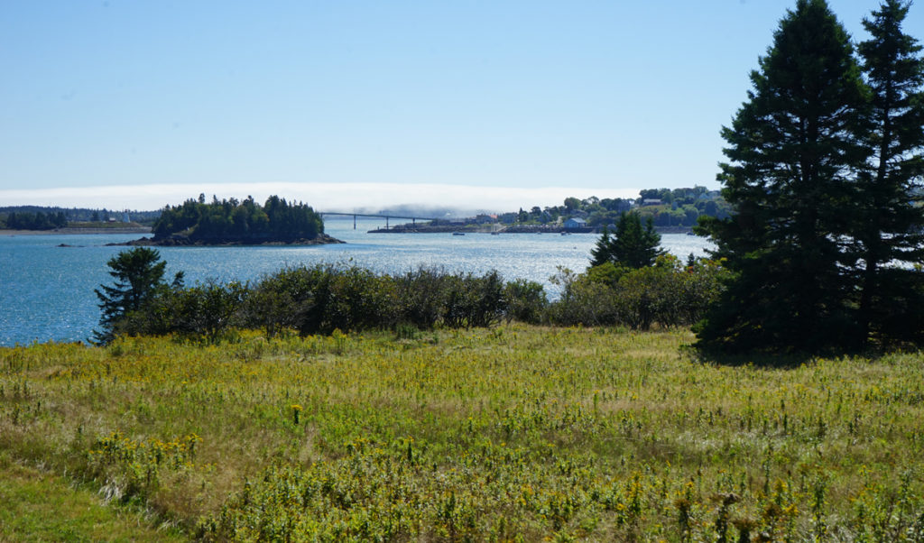 The view from Treat Island in Passamaquoddy Bay