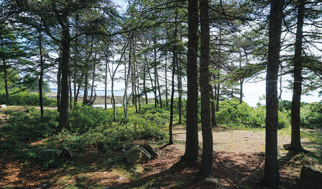 A camp site at Ocean Wood Campground.