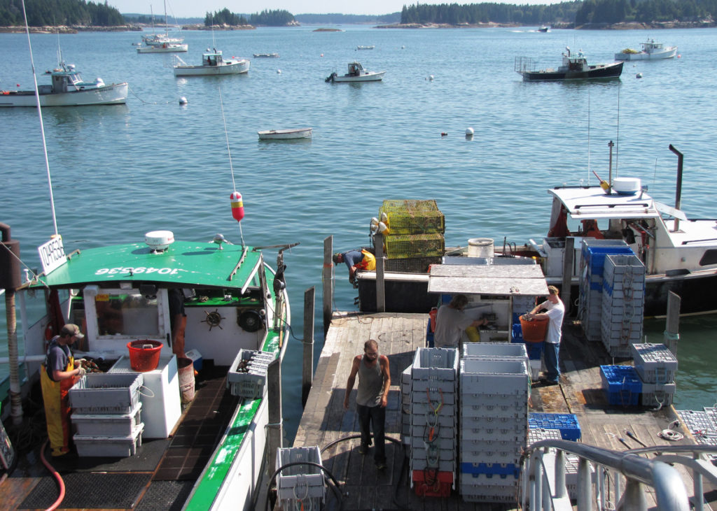 One of Stonington's lobster coops.