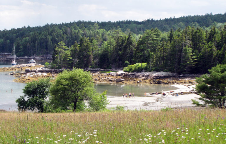 A beach in East Blue Hill at low tide.