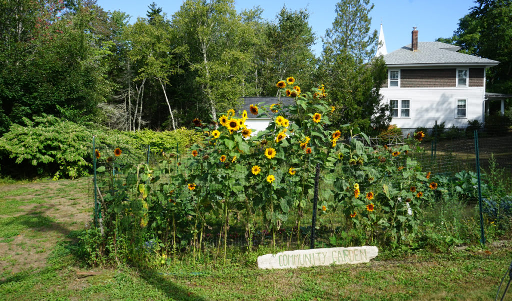 Islesboro community garden.