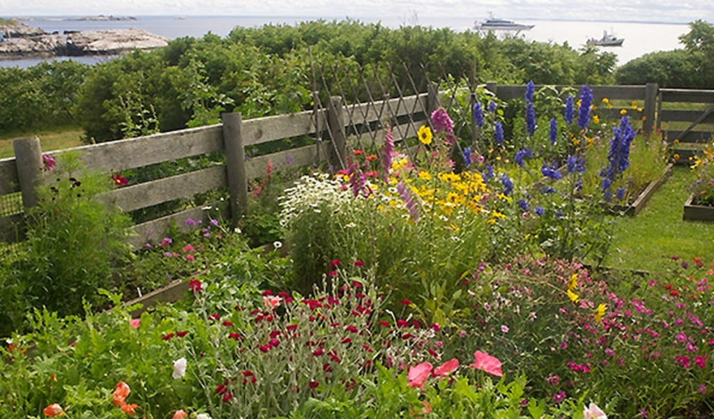 An island garden in Maine.