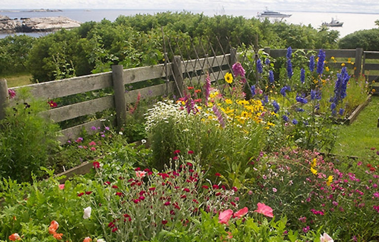 An island garden in Maine.