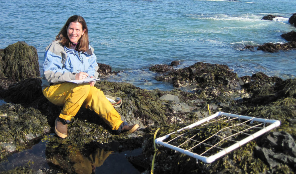 Heather Leslie of the Darling Marine Center.