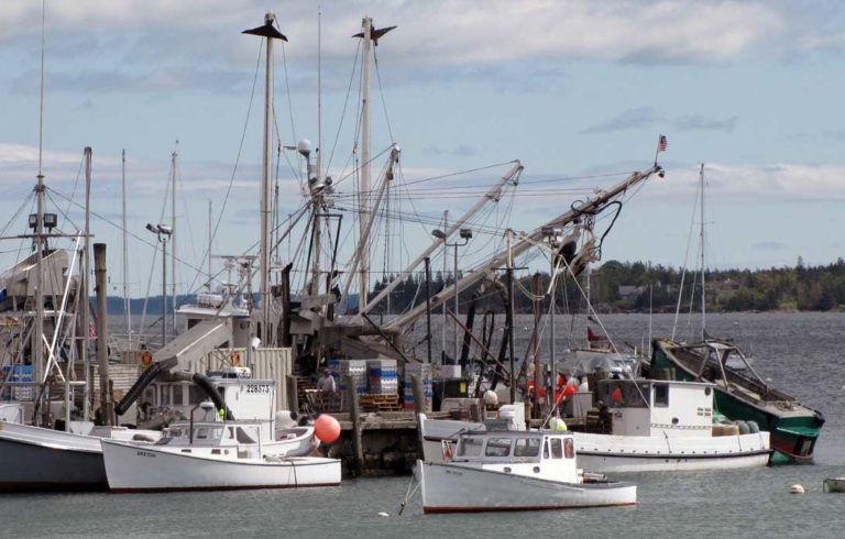 Rockland's fish pier.