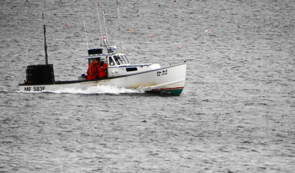 A lobster boat returns to port.