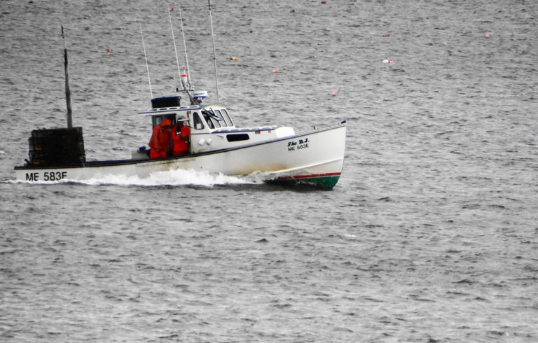 A lobster boat returns to port.