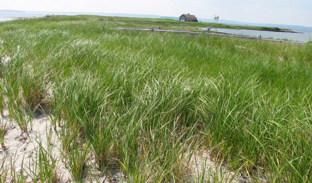 Chebeague Island beach house.