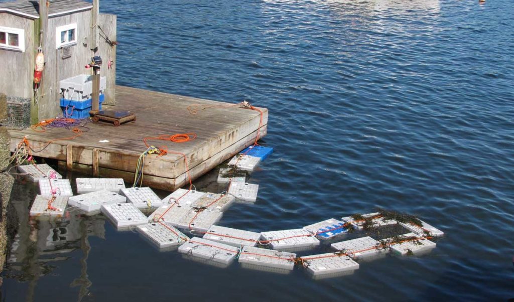 Lobster crates in Vinalhaven Harbor.