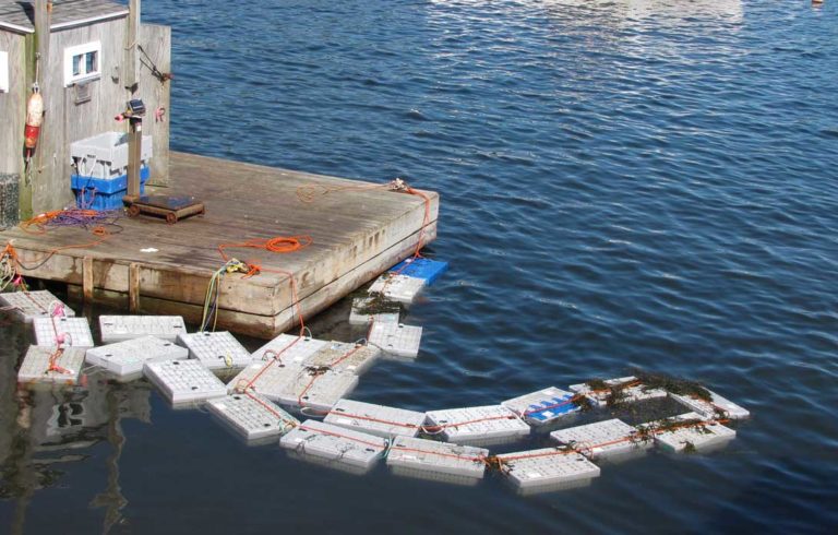 Lobster crates in Vinalhaven Harbor.