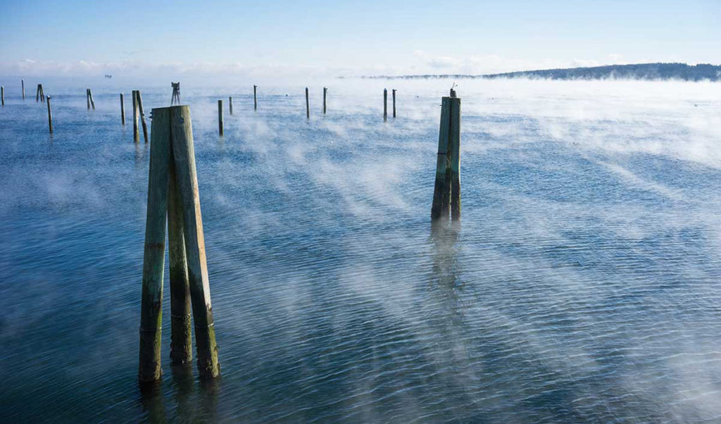 Sea smoke sunrise.