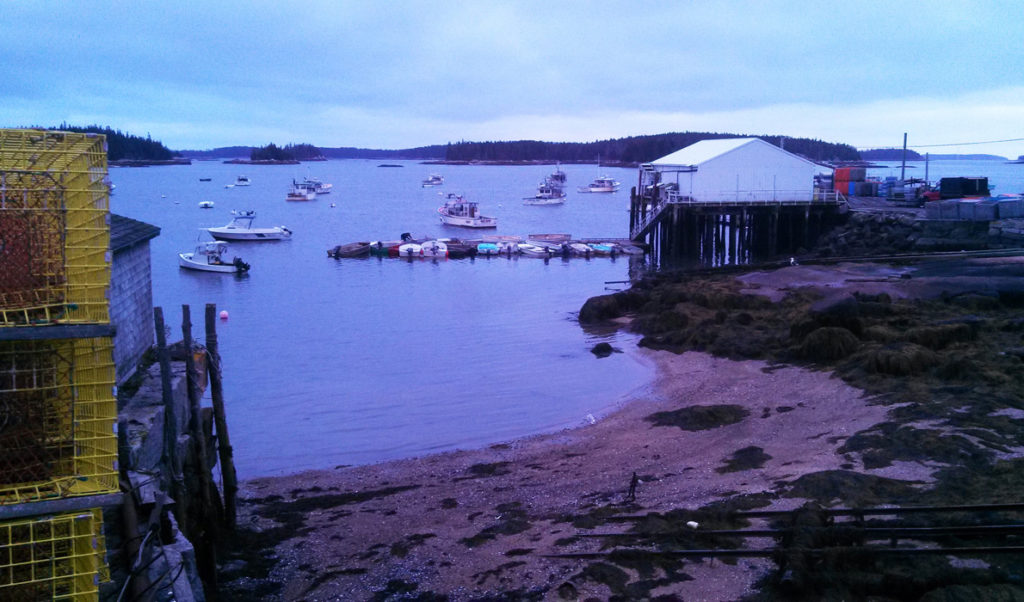 The November light at dusk brings out unusual colors on this Stonington shore.