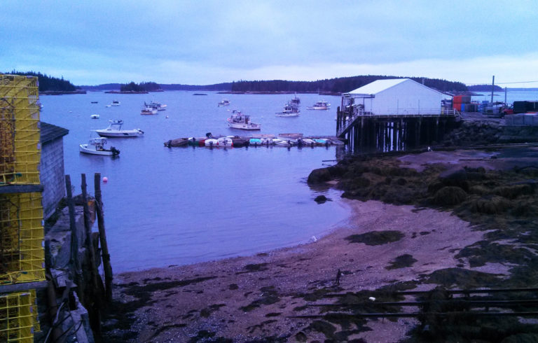 The November light at dusk brings out unusual colors on this Stonington shore.