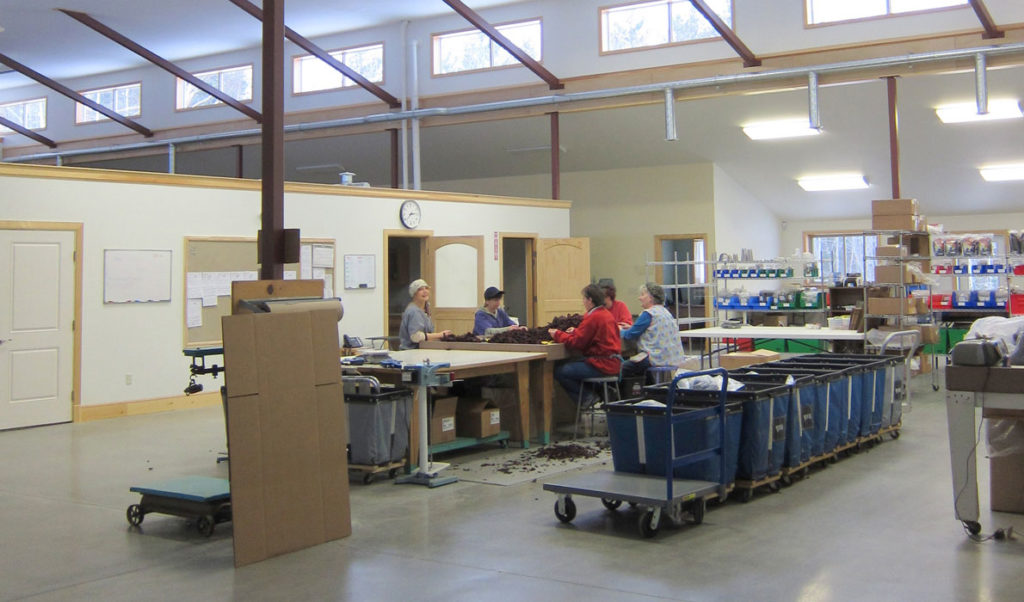 The working area in the new Maine Coast Sea Vegetables plant in Hancock is bright and spacious.