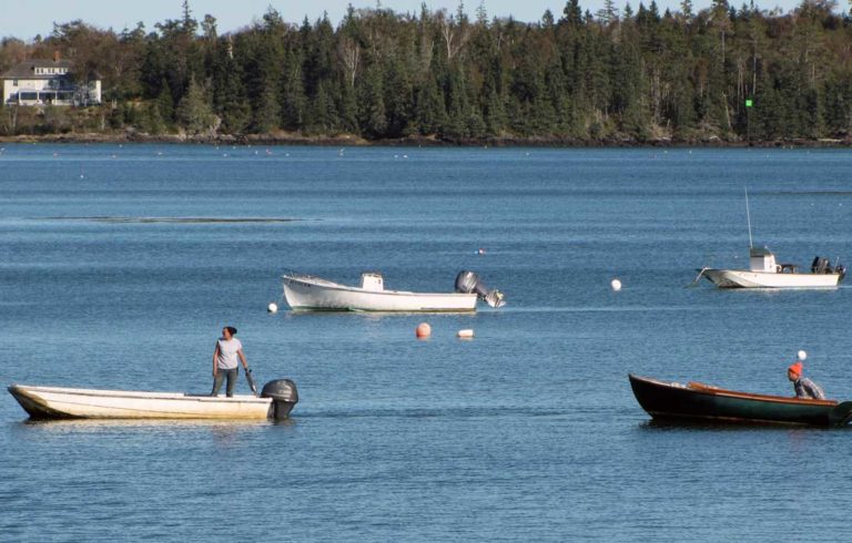 One fishermen uses a skiff to tow a skiff with another fisherman in the Fox Islands Thorofare.