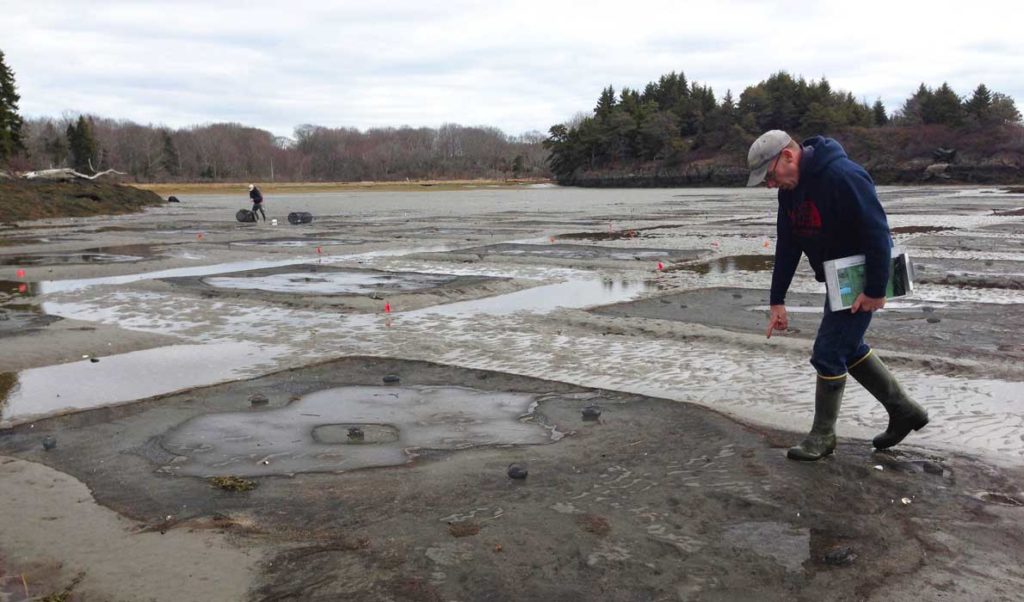 Chris Warner explains the restoration design with John Hagan setting green crab traps in the background.