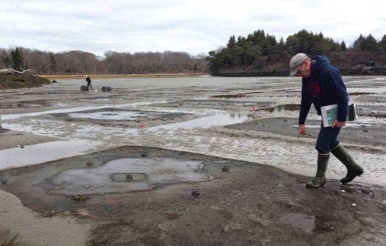 Chris Warner explains the restoration design with John Hagan setting green crab traps in the background.