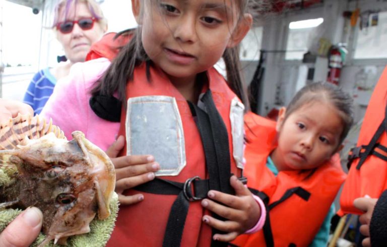 Students from the Blueberry Harvest School learn about sustainable fisheries during an August 2014 trip in Frenchman Bay.