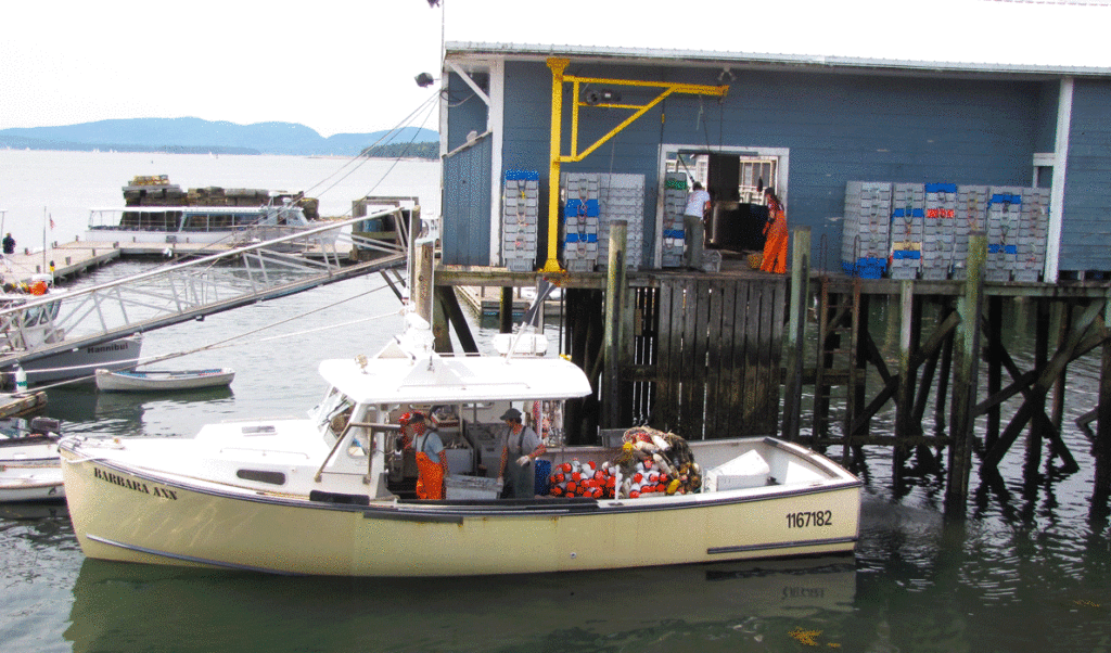 Bruce Fernald prepares to unload his boat